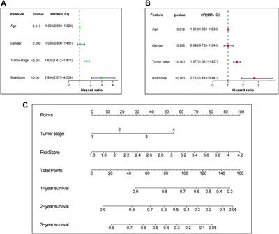 A novel pyroptosis-related prognostic signature for lung adenocarcinoma: Identification and multi-angle verification